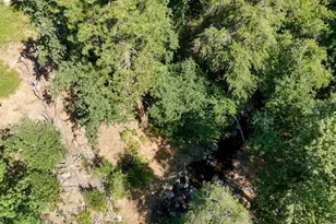 0 Whitaker Forest Rd, Miramonte, CA 93641 - Photo 64