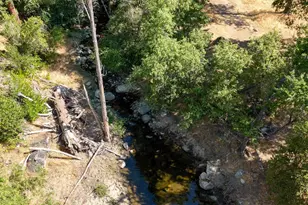 0 Whitaker Forest Rd, Miramonte, CA 93641 - Photo 62