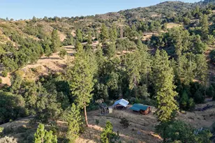 0 Whitaker Forest Rd, Miramonte, CA 93641 - Photo 68
