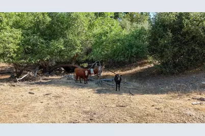 0 Whitaker Forest Road, Miramonte, CA 93641 - Photo 66