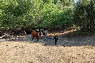 0 Whitaker Forest Rd, Miramonte, CA 93641 - Photo 66