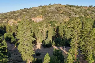 0 Whitaker Forest Rd, Miramonte, CA 93641 - Photo 32