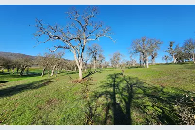 1013 Knolls Drive, Copperopolis, CA 95228 - Photo 22