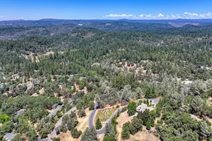 770 Bridle Path Rd, Colfax, CA 95713 - Photo 10