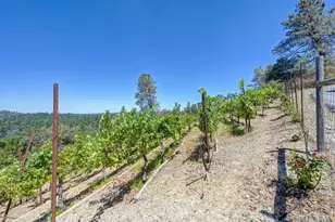 770 Bridle Path Rd, Colfax, CA 95713 - Photo 52