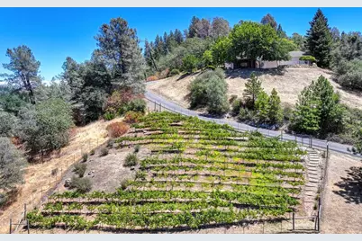 770 Bridle Path Road, Colfax, CA 95713 - Photo 50