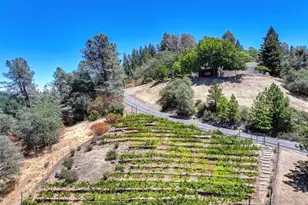 770 Bridle Path Rd, Colfax, CA 95713 - Photo 50
