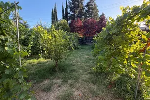 3911 Noble Ct, Sacramento, CA 95821 - Photo 44