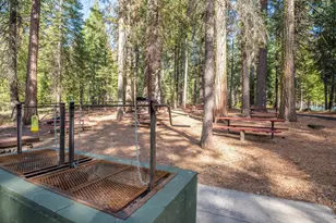 777 Sierra Pkwy, Camp Connell, CA 95223 - Photo 46