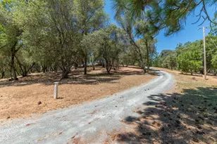 13333 Pioneer Dr, Jackson, CA 95642 - Photo 42