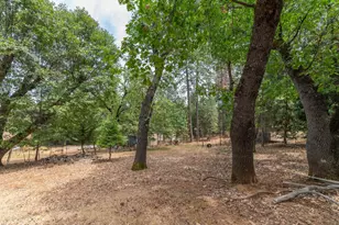 11082 Quail Dr, Pine Grove, CA 95665 - Photo 28