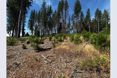 4904 Mount Pleasant Drive, Grizzly Flats, CA 95636 - Photo 6