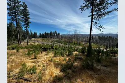 4904 Mount Pleasant Drive, Grizzly Flats, CA 95636 - Photo 2