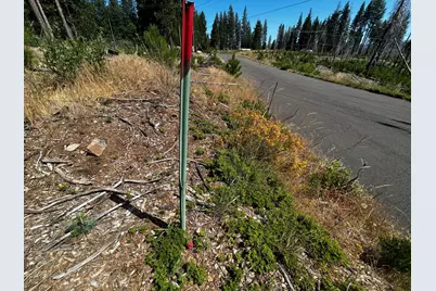4904 Mount Pleasant Drive, Grizzly Flats, CA 95636 - Photo 8
