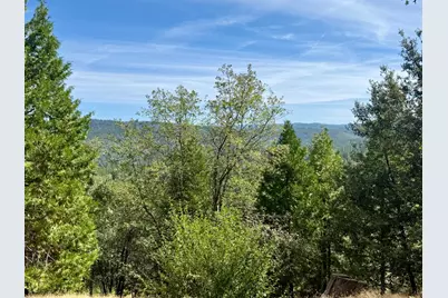 339 Snowberry Court, Murphys, CA 95247 - Photo 6