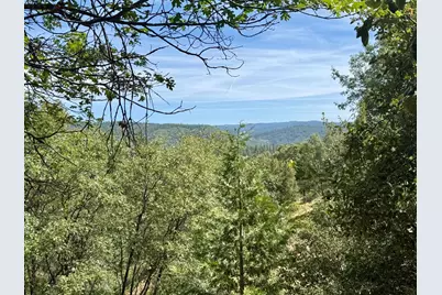 339 Snowberry Court, Murphys, CA 95247 - Photo 8