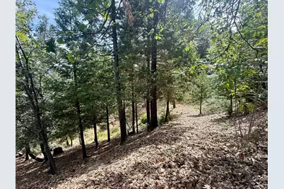 339 Snowberry Court, Murphys, CA 95247 - Photo 20