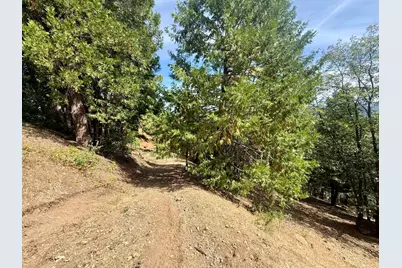 339 Snowberry Court, Murphys, CA 95247 - Photo 12