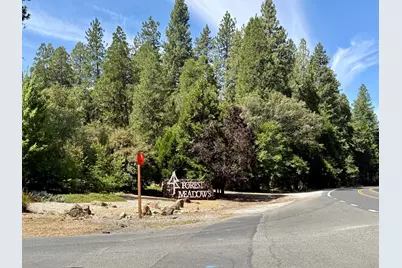 339 Snowberry Court, Murphys, CA 95247 - Photo 26