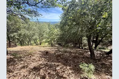 339 Snowberry Court, Murphys, CA 95247 - Photo 2