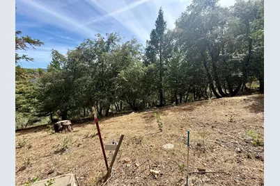 339 Snowberry Court, Murphys, CA 95247 - Photo 50