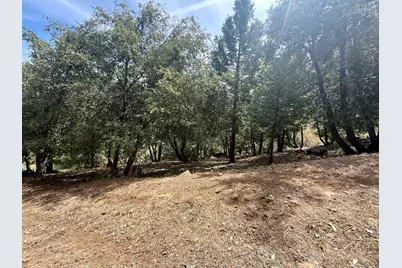 339 Snowberry Court, Murphys, CA 95247 - Photo 14