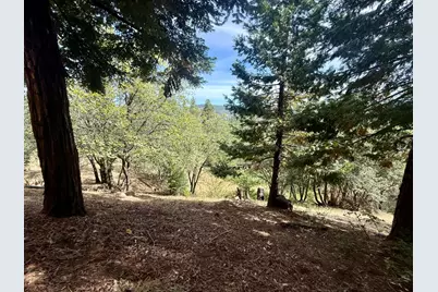 339 Snowberry Court, Murphys, CA 95247 - Photo 22