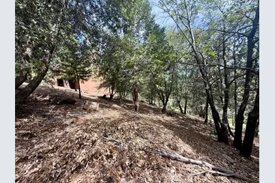 339 Snowberry Court, Murphys, CA 95247 - Photo 44