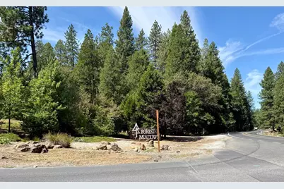 339 Snowberry Court, Murphys, CA 95247 - Photo 28