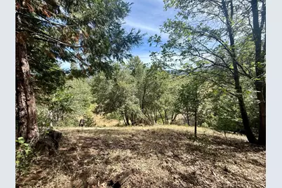 339 Snowberry Court, Murphys, CA 95247 - Photo 4