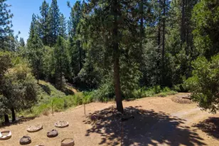 735 Ridge Rd, Mokelumne Hill, CA 95245 - Photo 4