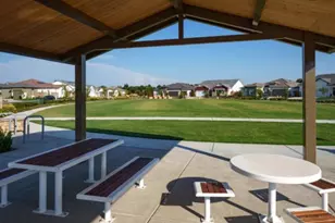 4581 Blushing Lily Way, Roseville, CA 95747 - Photo 42