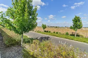 7606 Afonso Wy, Elk Grove, CA 95757 - Photo 60