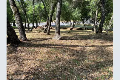 315 Mill Court, Angels Camp, CA 95222 - Photo 12