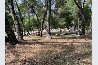 315 Mill Court, Angels Camp, CA 95222 - Photo 1