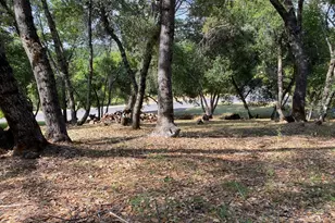 315 Mill Ct, Angels Camp, CA 95222 - Photo 1