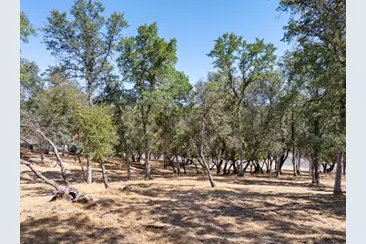 354 Mill Road, Angels Camp, CA 95222 - Photo 10