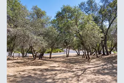 354 Mill Road, Angels Camp, CA 95222 - Photo 12