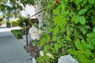 1066 Celebrity Terrace, Davis, CA 95616 - Photo 12