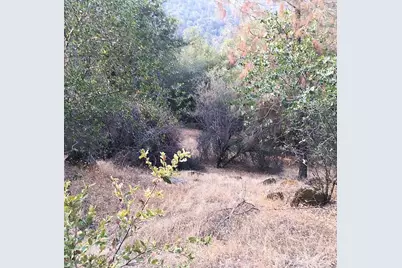 4440 Cosumnes View Trail, Placerville, CA 95667 - Photo 16
