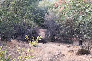 4440 Cosumnes View Trail, Placerville, CA 95667 - Photo 16