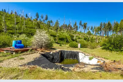 40 Wentworth Springs Road, Georgetown, CA 95634 - Photo 8