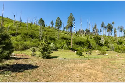 40 Wentworth Springs Road, Georgetown, CA 95634 - Photo 6