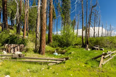 40 Wentworth Springs Road, Georgetown, CA 95634 - Photo 4