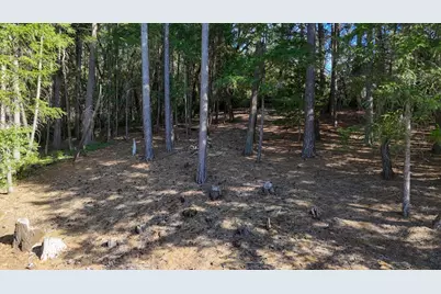 1325 Boole Road, Applegate, CA 95703 - Photo 44