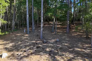 1325 Boole Rd, Applegate, CA 95703 - Photo 44