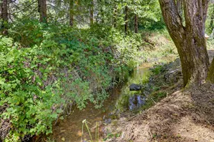 1325 Boole Rd, Applegate, CA 95703 - Photo 38