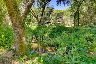 4900 Lorin Ct, Auburn, CA 95602 - Photo 68
