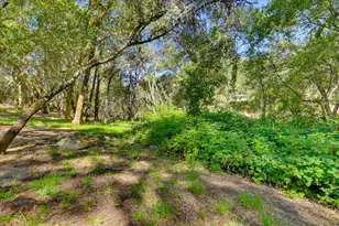 4900 Lorin Ct, Auburn, CA 95602 - Photo 70