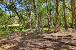 4900 Lorin Ct, Auburn, CA 95602 - Photo 76